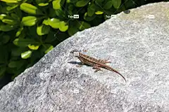 自然 户外的 自由背景 4K壁纸 全高清壁纸