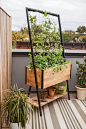 Cedar Planter Box: Apex Trellis Planter - Elevated Planter +Trellis