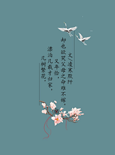 轻抚琵琶,缘深情浅才说话,又提他,却也奈何意味深长曾不怕.