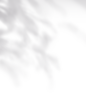 6279440ea5d08dad2377393b33c99331db987313113c88-PgaqK1_fw1200