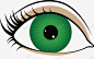 手绘美丽大眼睛图标矢量图 绿色眼珠 美丽 表情 黑眼珠 UI图标 设计图片 免费下载 页面网页 平面电商 创意素材