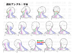 BACK可采集到人体+头