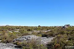 在桌山峭壁上海誓山盟的一对青年，见红色标记上方
