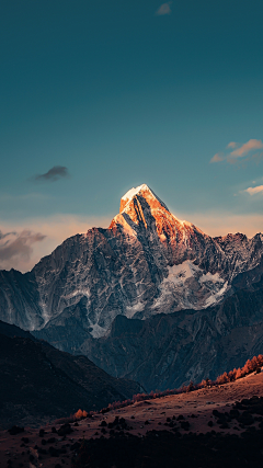 离早采集到山