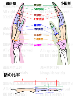 命运线的轮回采集到人设