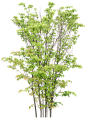 11.png (742×1024)