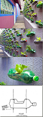 Plastic Bottle Hanging Planter Vase - this would be so cool to do at school... not sure how I would hang them though