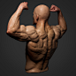 Back Double Biceps - Arnold Render 