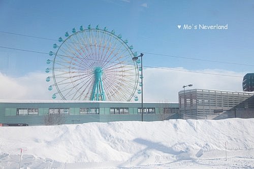 冬日里的北海道 (4)