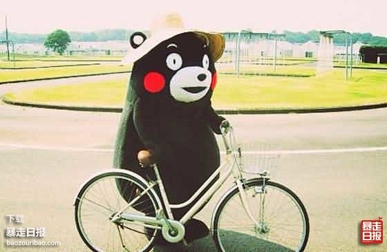 日本吉祥物"熊本熊"的这几张动图够我笑一...