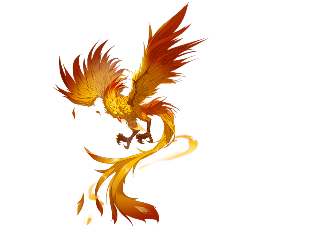 16.png (1000×700)