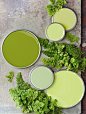 - Get this beautiful look and more home decor at <a href="http://purehome.com" rel="nofollow" target="_blank">purehome.com</a> -"Fern Greens" - from top right: Frolic, Spring Leaf, Antique Green, Green T