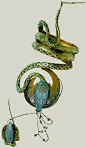 新艺术珠宝大师Georges Fouquet，同样作为新艺术的珠宝巨匠Georges Fouquet的名气就要比大名鼎鼎的René LALIQUE小的多，但是这也不影响藏家对他作品的喜爱，图一的珐琅胸针在佳士得拍卖行上估价40万美金。Fouquet和慕夏是非常要好的朋友和合作伙伴，1901年，Fouquet的精品店在Rue Royale开业，慕夏串了 ​​​​...展开全文c