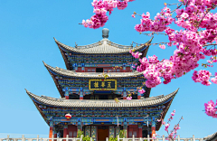 橘子烈采集到大理