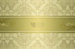 复古的背景与优雅的图案。