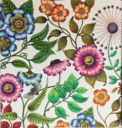 秘密花园 涂鸦书 - 堆糖，美图壁纸兴趣社区