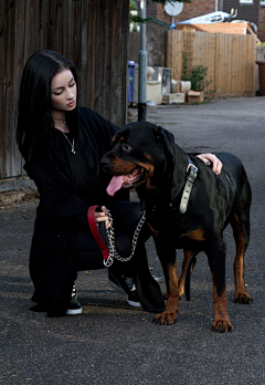 升级版考拉采集到美女服装与动物