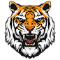 874790老虎 Tiger-1