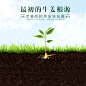 创意生姜洗发水主图高清素材 主图 创意 土壤 洗发水 生姜 直通车 背景底图 背景 设计图片 免费下载 页面网页 平面电商 创意素材