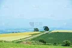 非都市风光,山,美瑛町,地形,贺卡,留白,水平画幅,云,无人,日本