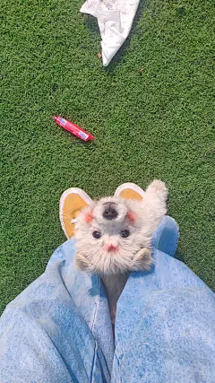 今日份手机锁屏壁纸~​​​