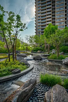 城市小区绿化环境公共绿地摄影图