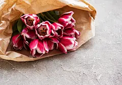 郁金香,春天,粉色,贺卡,清新,灰色,浪漫,情人节卡,复古风格,色彩鲜艳