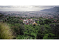 07 lydia hilltopview plain palmero 2