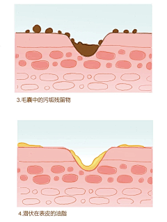 丨海绵宝哥丨采集到护肤品化学图