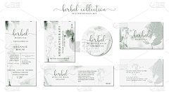 一套天然有机草药标签。优雅的品牌设计