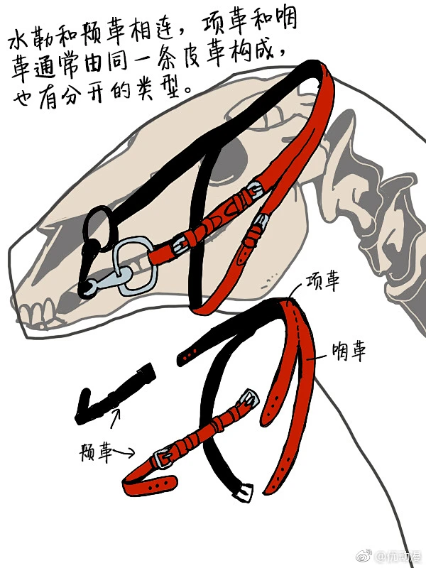 绘画参考 画师モトイチ（id=679243）的马辔头绘制小课堂不多见的配饰教程，马住！ -花瓣网