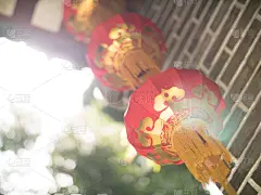 塞舌尔,纸灯笼,砖,光,木制,银色,拱门,雕刻图像,拉迪戈岛,浅的