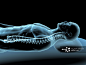 X-ray view of a man resting with view of spinal column_创意图片