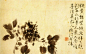 【写意】中国徐渭绘画作品欣赏《牡丹图》
