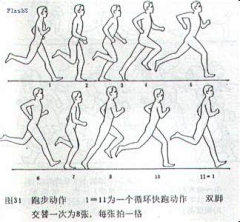 loveJOJO1979采集到教程