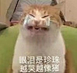 用我最后10%的电来更新表情包超话 
（找图不易，素质拿图，谢谢） 2成都·御源・大湖区 ​​​​