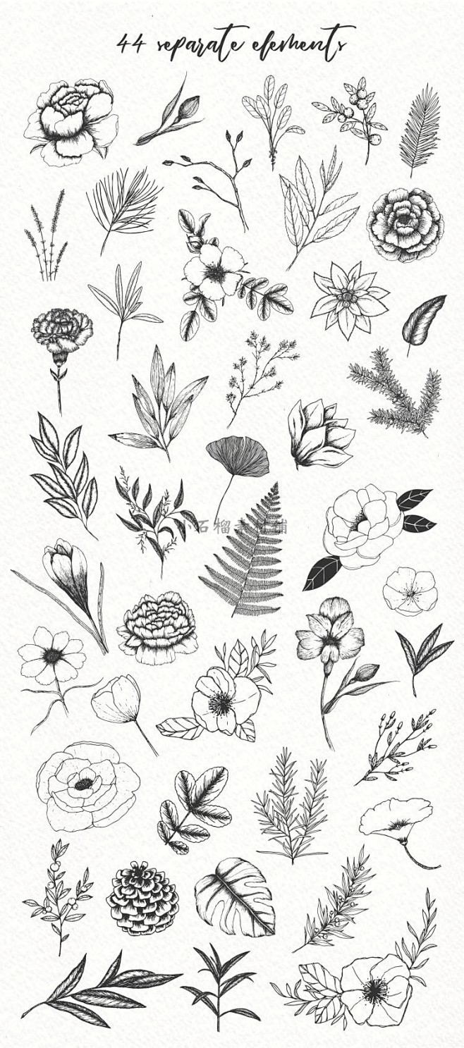 植物花卉黑白线稿素描简笔画装饰边框背景A...
