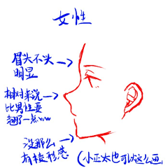 沐木果果采集到漫画人设