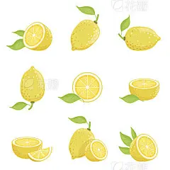 Lemon with slices. Fresh yellow fruit in cartoon style. Vector picture isolate on white