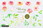 手绘水彩花卉植物设计素材Watercolor Design Kit Rosy 设计模板 