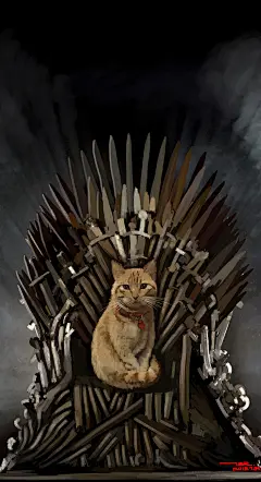权力的猫   