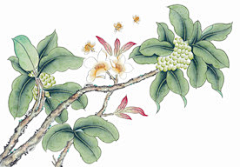普酷塔采集到画
