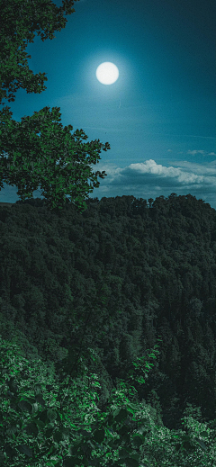 酉鸡芝麻采集到山居