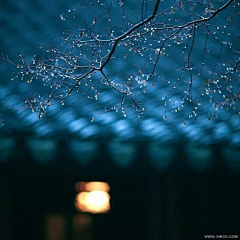 苏无名采集到夜行记