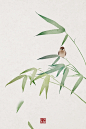 水彩花卉植物 古风海报 竹子 麻雀  石家小鬼原创中国风二十四节气插画，商用请联系邮箱shijiaxiaogui@qq.com，未经允许严禁商用。