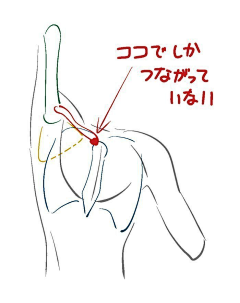 koell采集到绘画