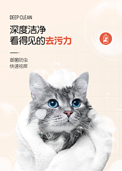 🐣亦媛🐶采集到宠物详情页