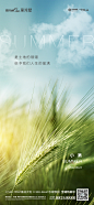 小满