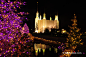 全部尺寸 | Festival of Lights at the Washington, DC Mormon Temple | Flickr - 相片分享！
