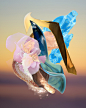 Imaginal Cells